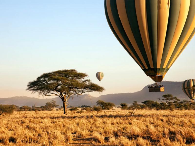 WITNESS THE SERENGETI FROM THE SKY: A HOT AIR BALLOON SAFARI